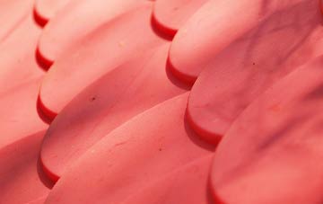 Dunnington plastic roof costs