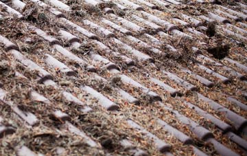 Dunnington roof cleaning companies