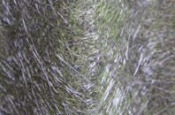 Dunnington fibreglass roof work